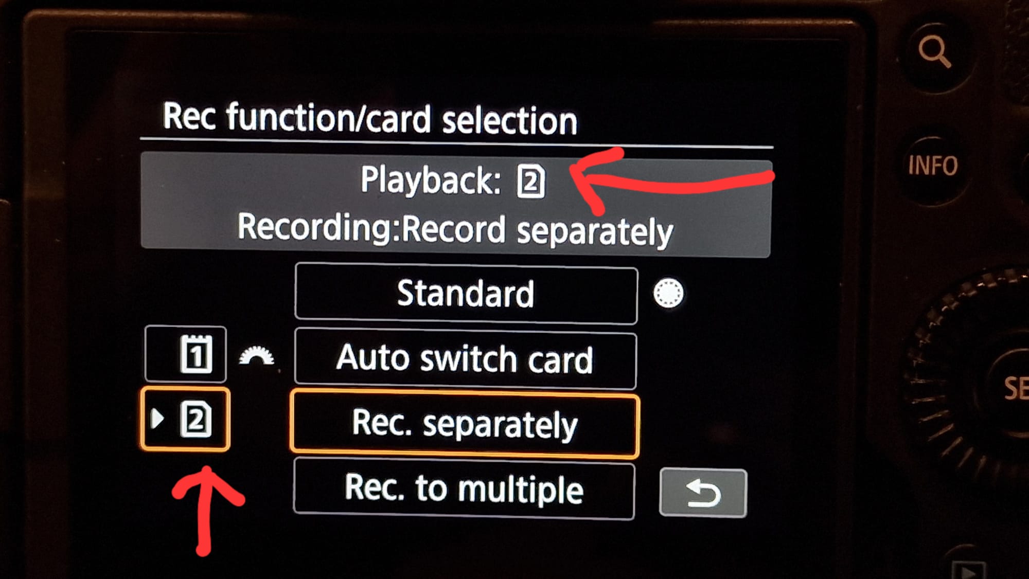 Transmitting RAW files as jpgs to image.canon from - Canon