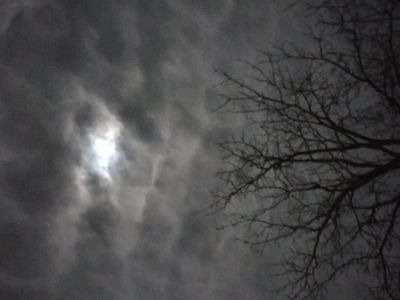 IMG_20241215_212218719.jpg