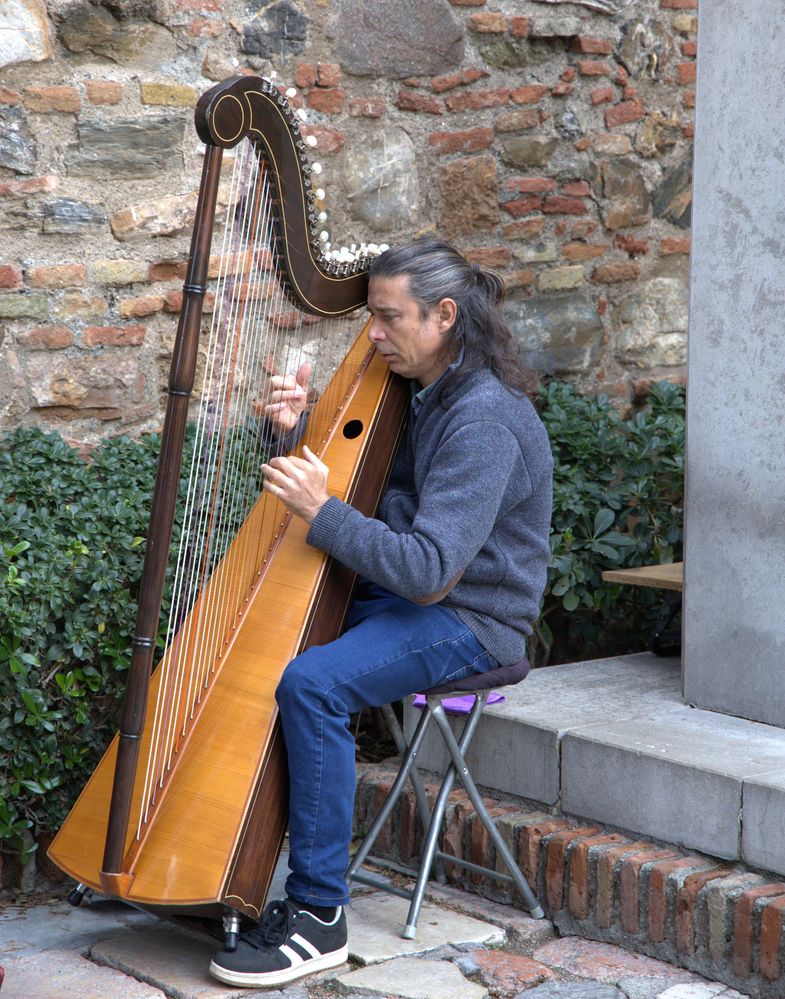 Harp player  R6 Mrk2   RF24-105mm   ISO 1250   SS 1/320s   Handheld