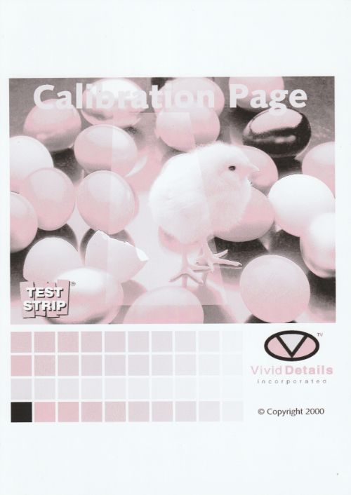 ColourPrint Greyscale.jpg