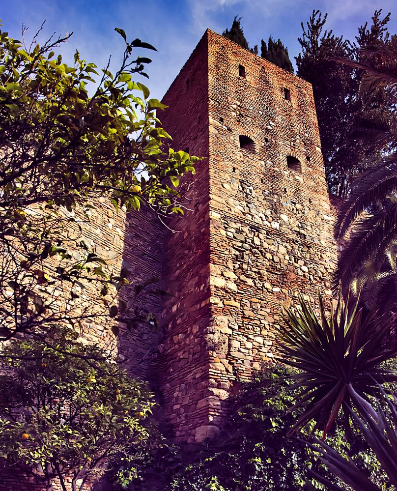 Alcazaba Tower  R6 Mrk2   RF24-105@24mm   ISO-100   f5   SS 1/320s  Handheld