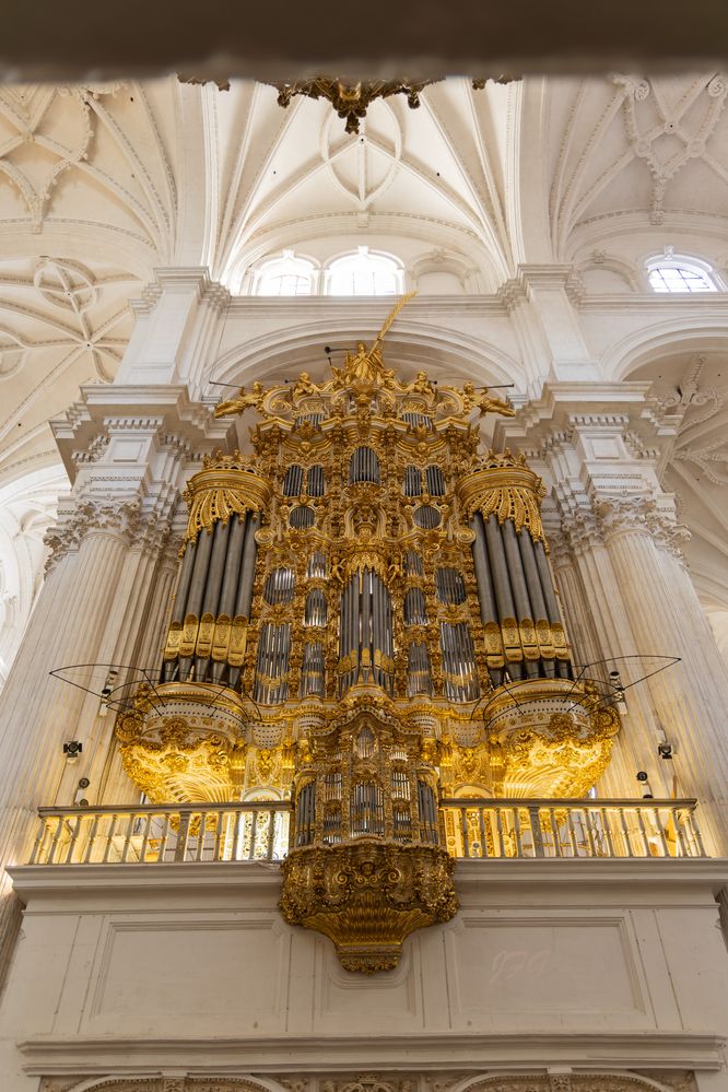 Granada Cathedral Organ  R6 Mrk2   RF24-104@24kmm   f4   ISO-125   SS 1/4s    Handheld