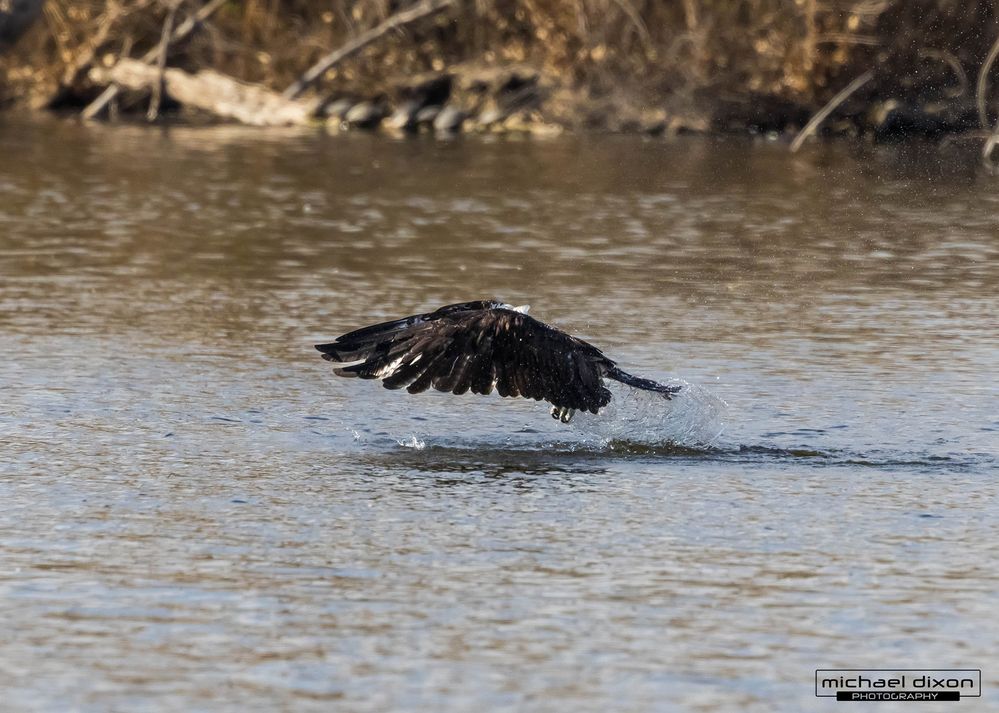 taking off from the water