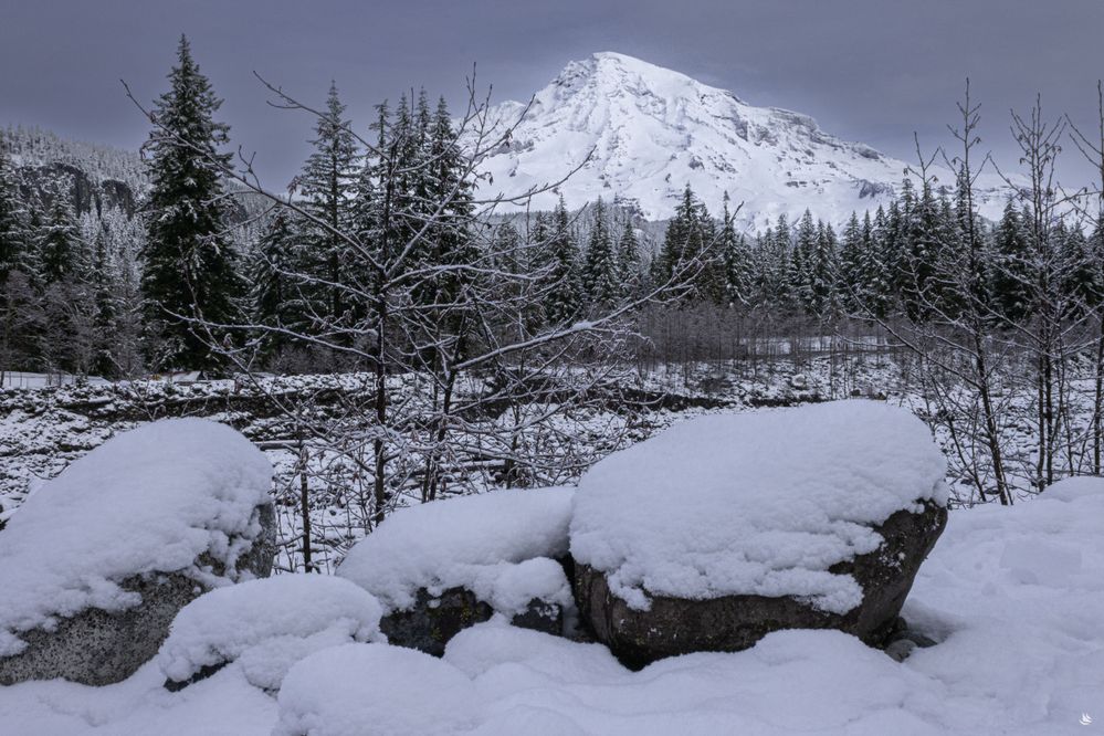 PNW25-5-min.jpg