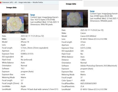 M50 II vs  iPhone EXIF-1a.jpg