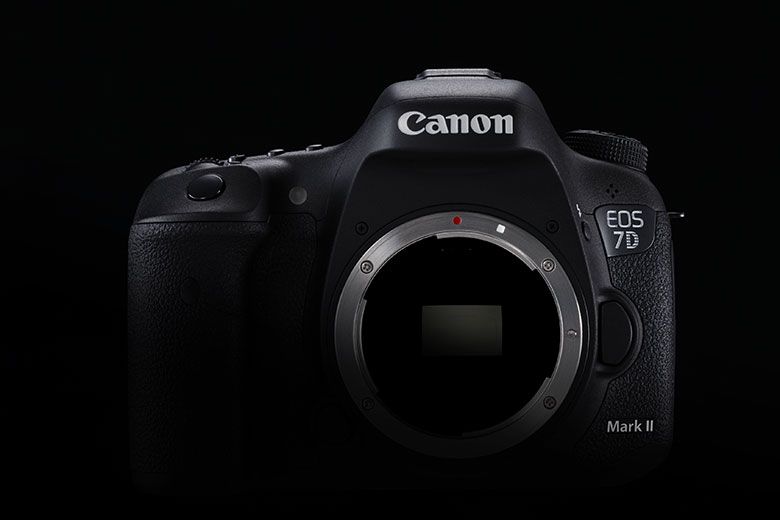 Canon-7D-MkIIn.jpg