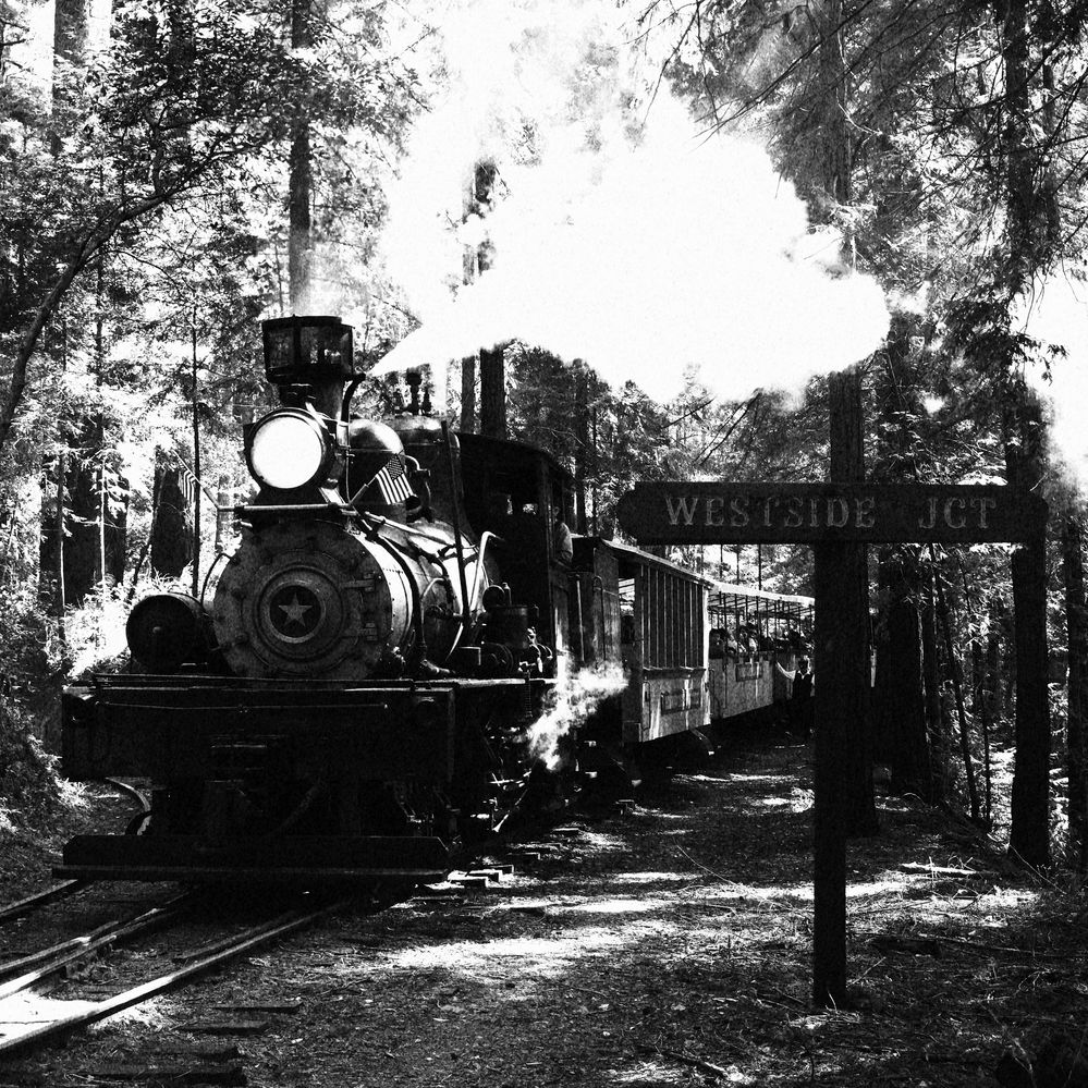 Big Trees and Pacific at the Junction.JPG