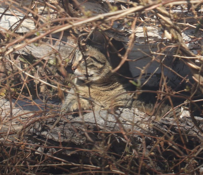 Img_2246 cropped.jpg