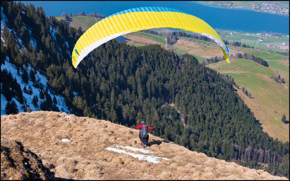Glider.jpg
