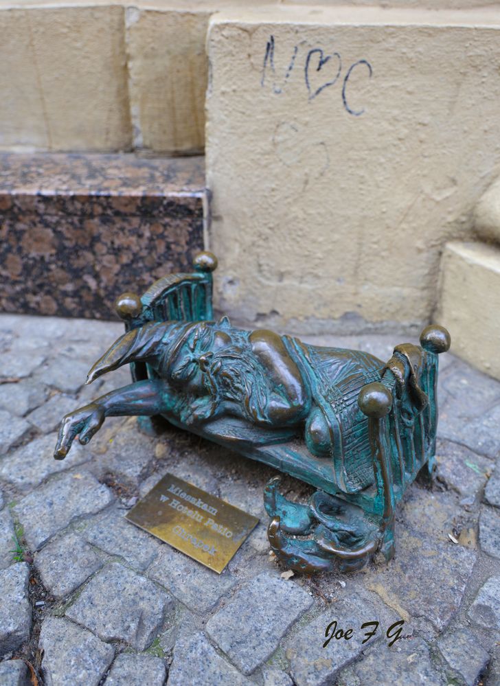 Gnome sleeping   R6 Mark II   RF24-105mm F4 L IS USM