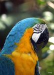 IMG_9859.JPG