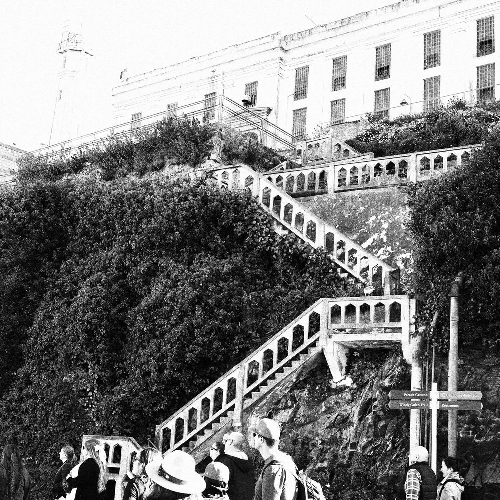 the outside stairs for the corgy.JPG