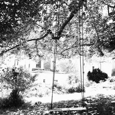 Lonely Swing at Ybera Buena Island.JPG
