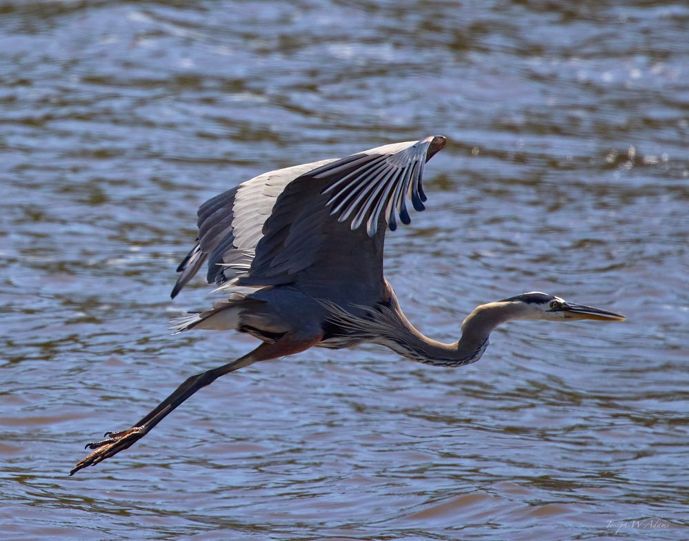 Shot with RF 100-500mm