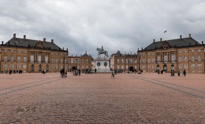 IMG_2115-Enhanced-NR@0.75x.jpg