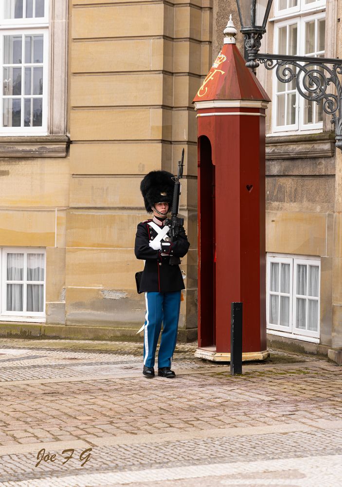 Guard at Amalienborg R6 Mark II  RF24-105mm  Handheld
