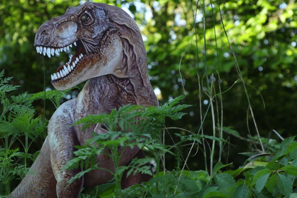 T-Rex.jpg