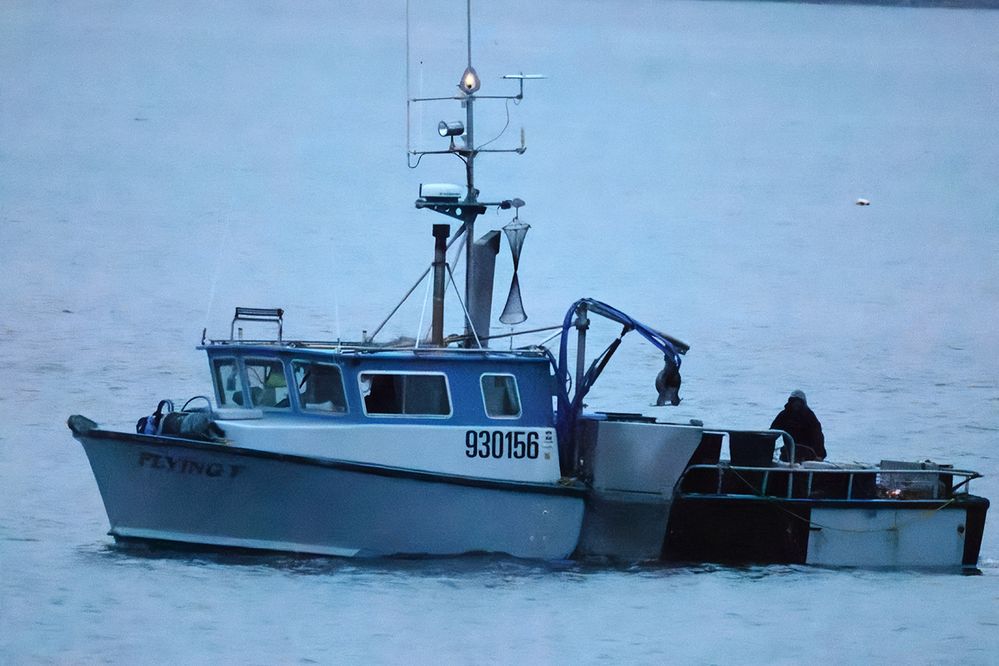 R62_4905_Nn copy.jpg