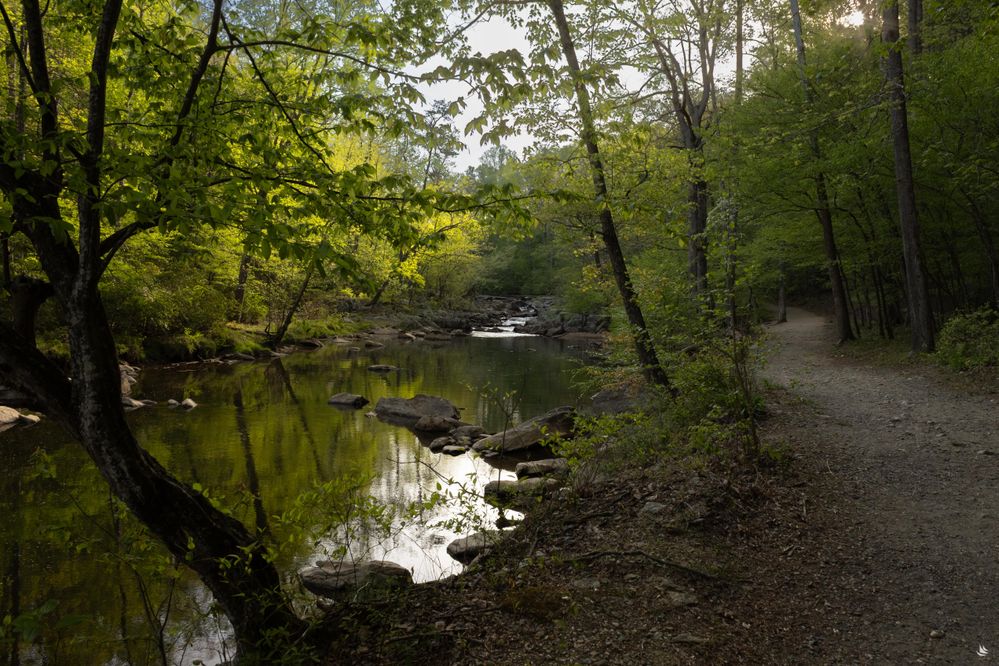 Great Falls-6-min.jpg