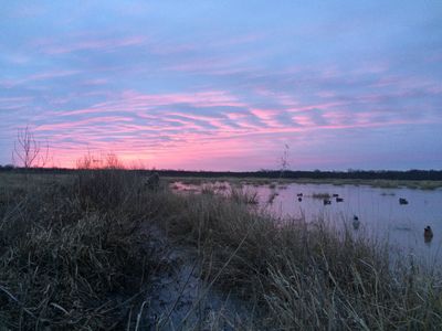 IMG_3406.jpg