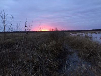 IMG_3430.jpg