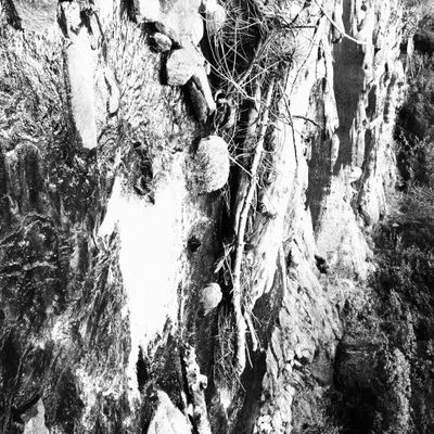 Campground Creek.JPG