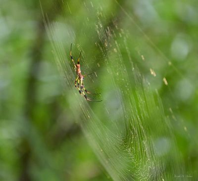 Landscape pics 5.jpeg