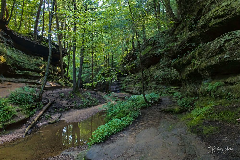 Hocking Hills Ohio 2025-16.jpg