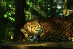 IMG_2175.JPG
