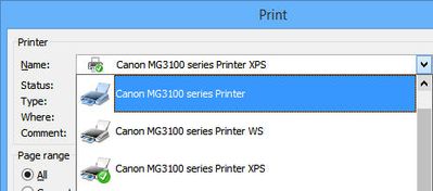 Print Dialog