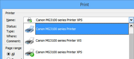 Print Dialog