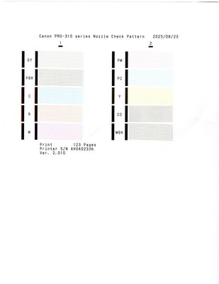 canon nozzle check.jpg