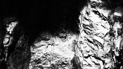 Gold Bug Mine looking UP.JPG