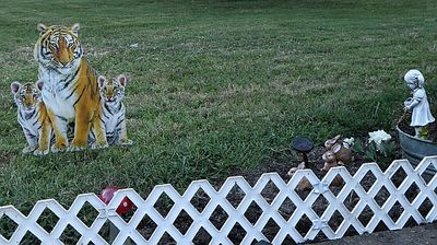 IMG_3810.JPG