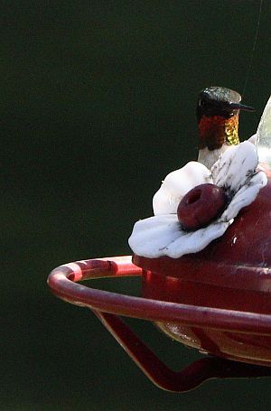 You can't see me.JPG