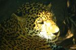 IMG_9875.JPG