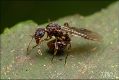 56640_Hell if I know.jpg