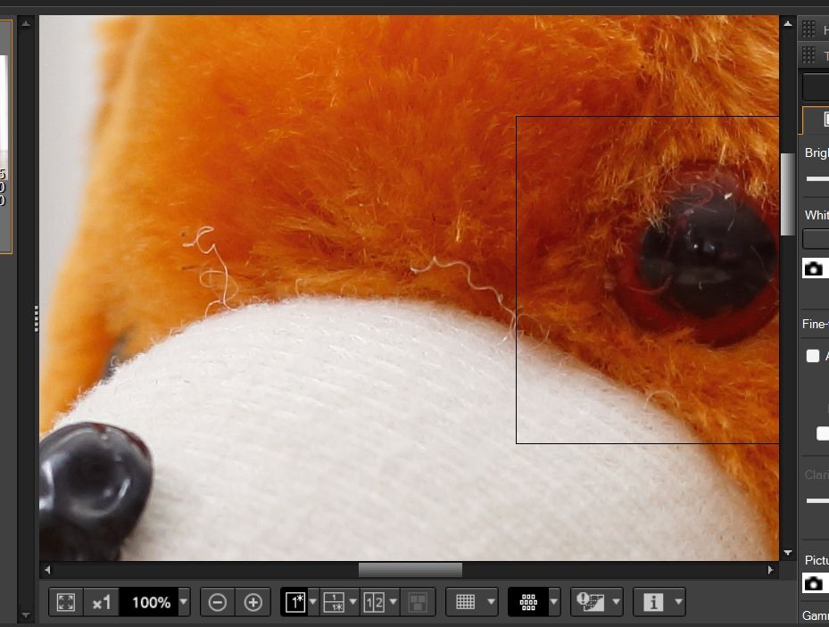 6D w Nifty Fifty Focus-1.jpg