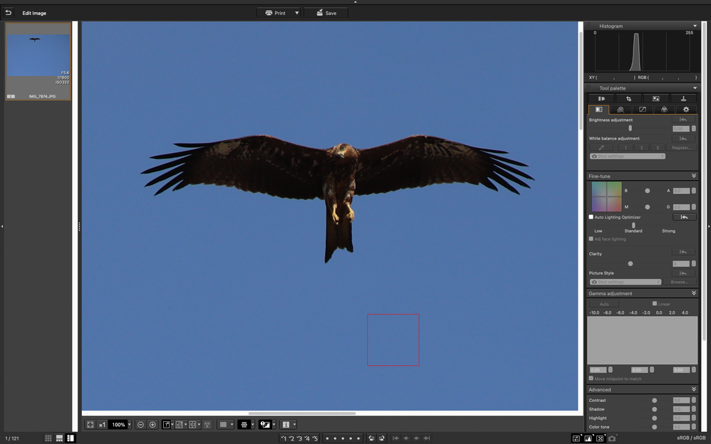 AF box appears elsewhere