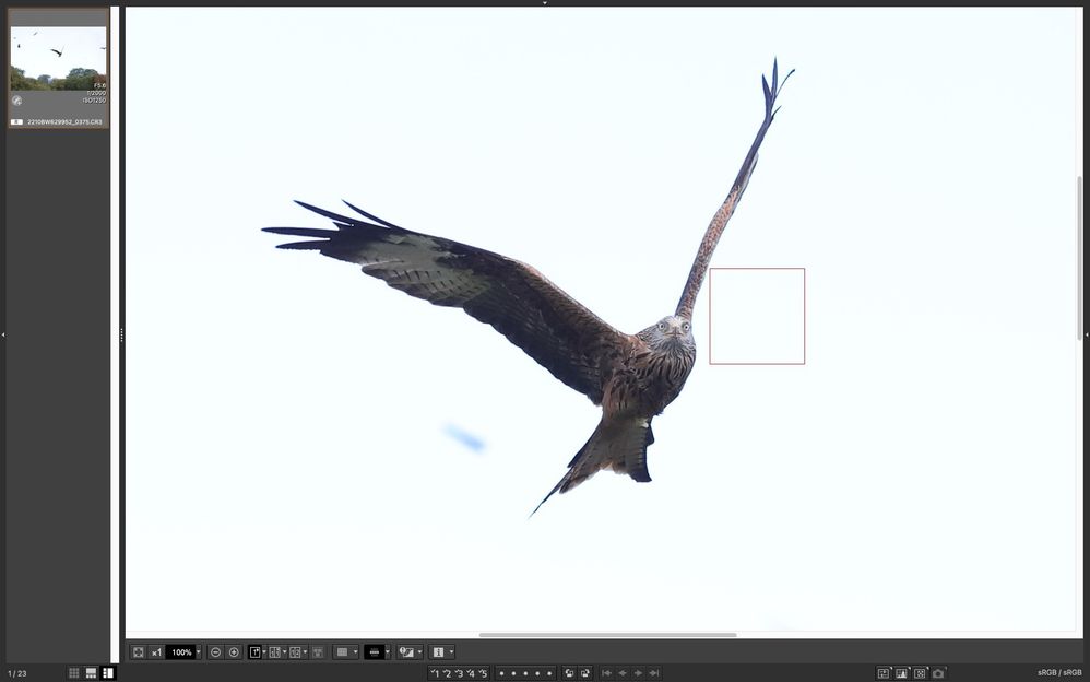 Screenshot 2025-09-22 at 10.38.46.jpg