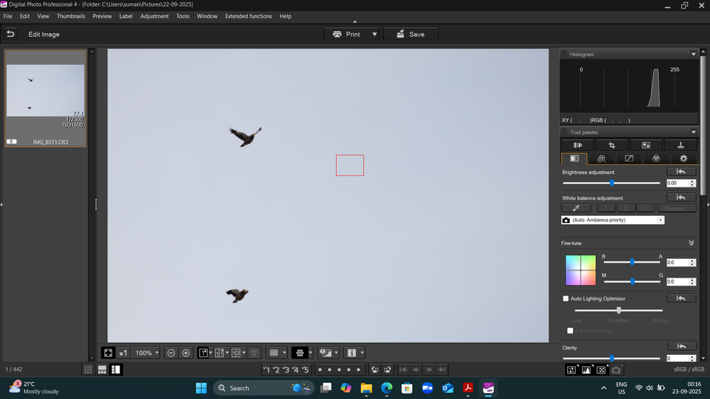 Screenshot 2025-09-23 001607.png