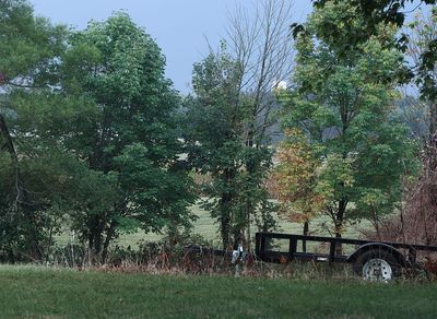 Looking south in Tungsten.jpg