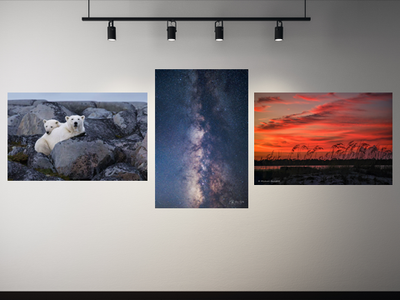 featured gallery.png