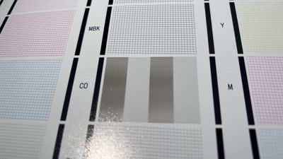 canon pro-4000 nozzle check sm.jpg