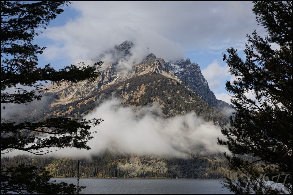 8626_Moutain through the pines.jpg
