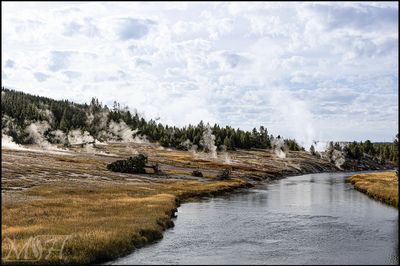 8439_Land of the stink.jpg