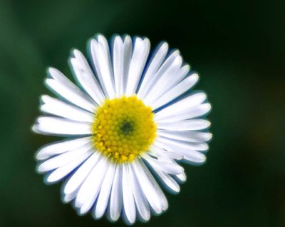 Screenshot 2025-10-25 at 5.11.44 PM.jpg