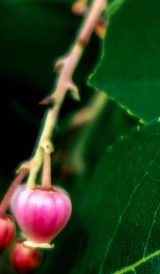 Screenshot 2025-10-25 at 5.12.51 PM.jpg