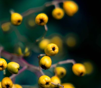 Screenshot 2025-10-25 at 5.16.38 PM.jpg