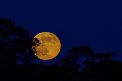 edited Beaver Moon 1aBeaver Moon 3.jpeg